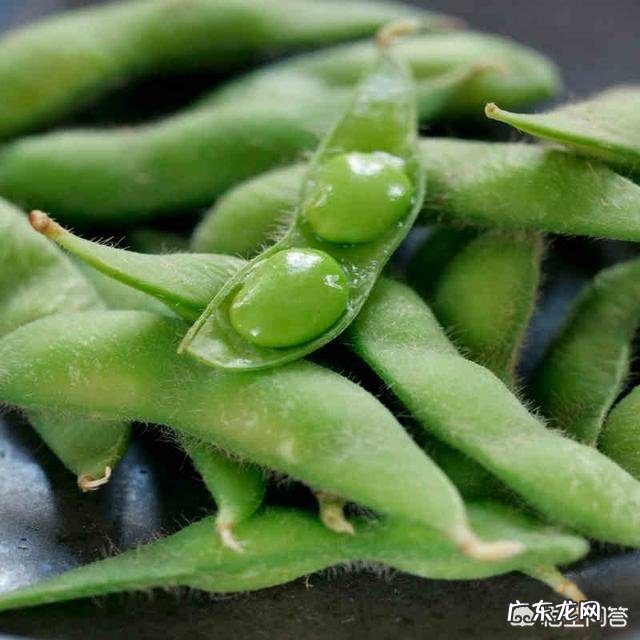 日常中有哪些食物是养护血管、清理血管内垃圾的？