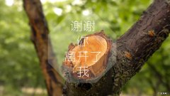 网上的一些减肥操有用吗？