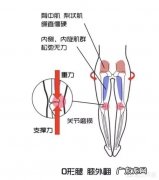 如何练习瑜伽矫正“O型腿”？