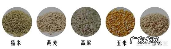 面包、蛋糕薯片、饼干,哪个更胖人?