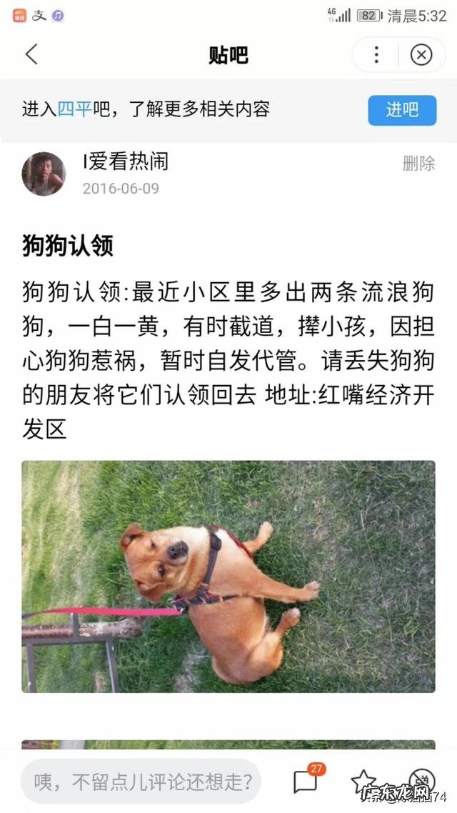 大家的宠物都叫什么?名字的背后有没有特殊的含义或经历?