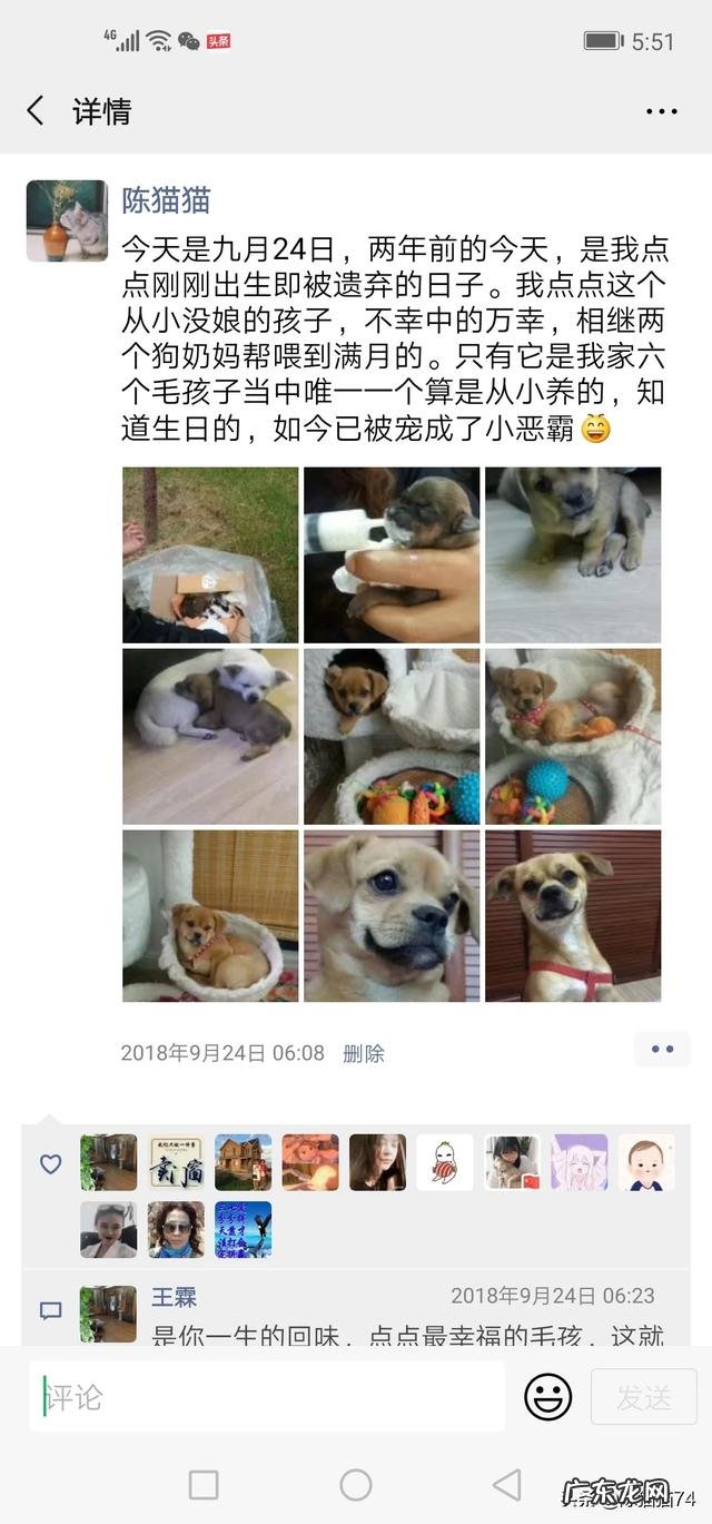 大家的宠物都叫什么?名字的背后有没有特殊的含义或经历?