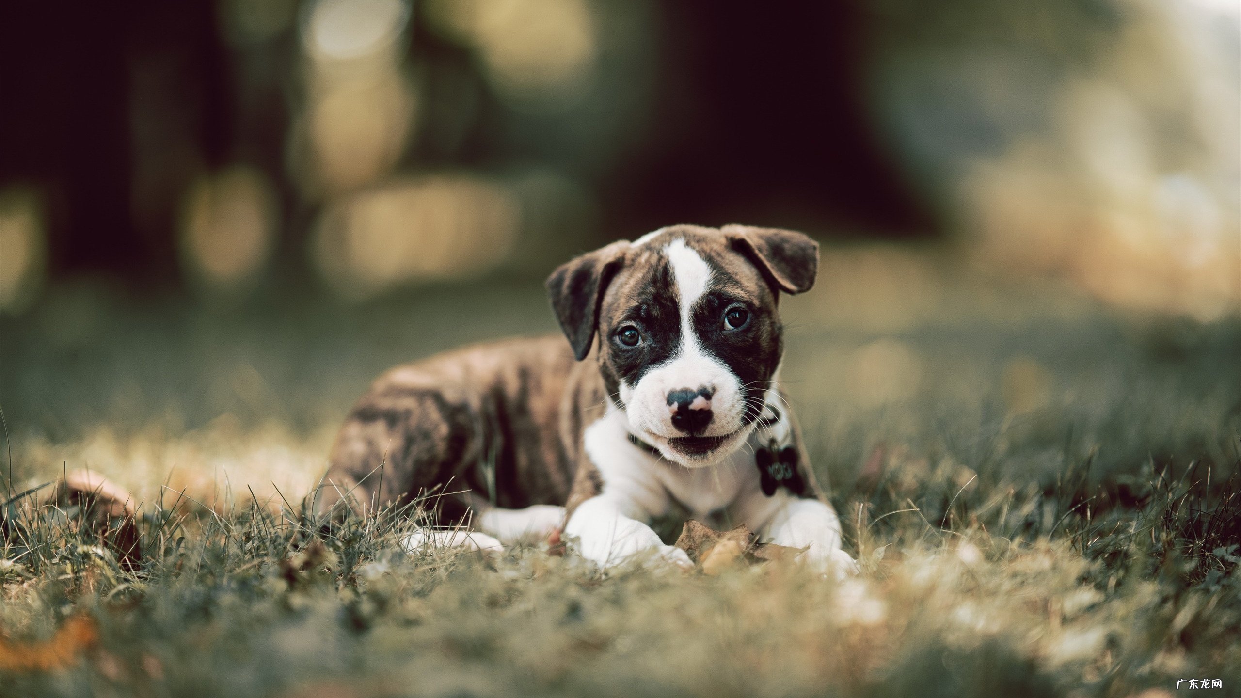 有什么好的减肥方法,食谱适合男性吗~?