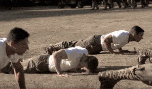 一天做300到500个俯卧撑一年后会有什么变化