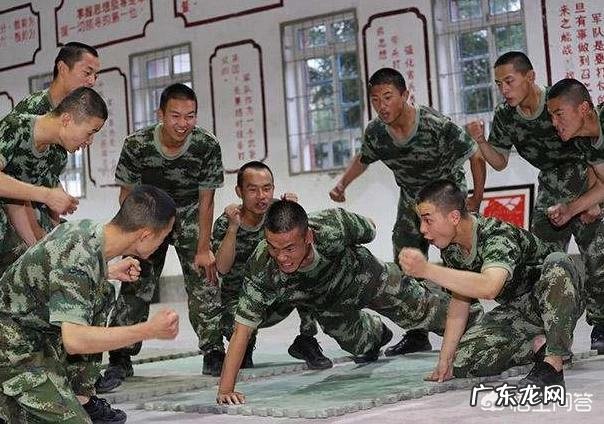 一天做300到500个俯卧撑一年后会有什么变化