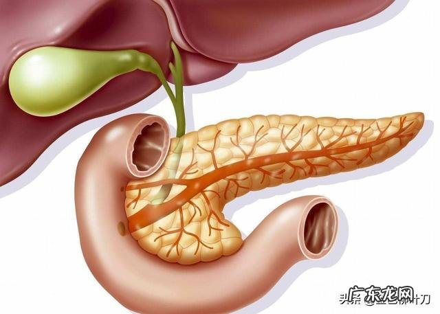 如何通过检查来发现胰腺癌怎样调理好身体