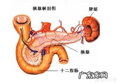 如何通过检查来发现胰腺癌怎样调理好身体