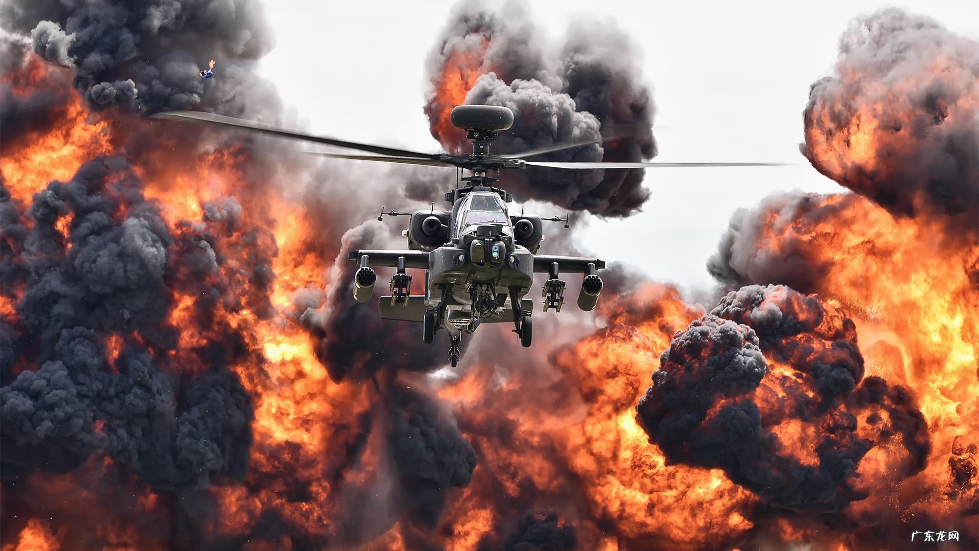 大海马和小海马有什么区别?