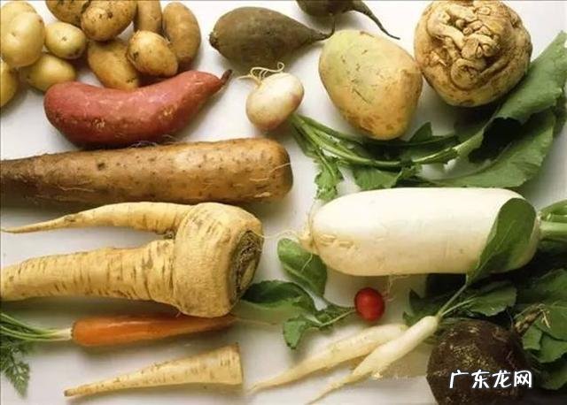 中午带饭，如何吃的健康，有营养？