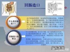 直肠癌患者术后吃什么粥比较合适