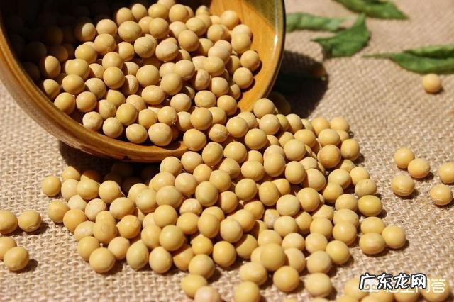 直肠癌患者术后吃什么粥比较合适