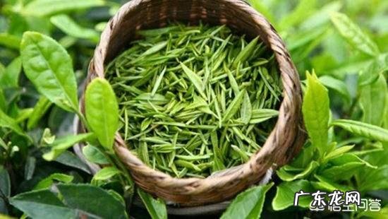 为什么男人喜欢喝绿茶女人喜欢喝红茶?