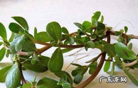 拔火罐起水泡,能勾破它吗?