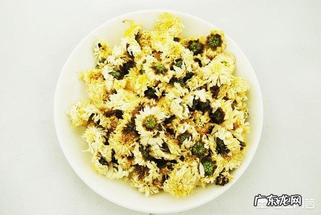 枸杞菊花茶有必要天天喝吗长期食用对身体有什么影响