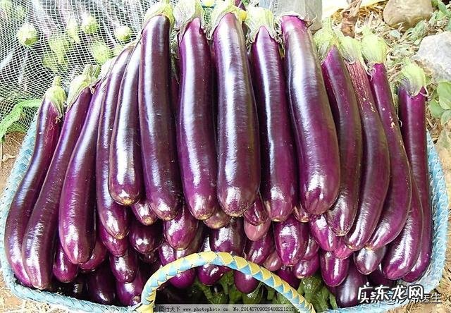 血液粘稠如粥有哪些信号,如何让血管畅通无阻