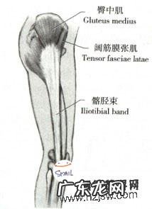 33岁的o型腿靠锻炼能矫正过来吗 O型腿,腿不直怎么办?能通过锻炼纠正吗?