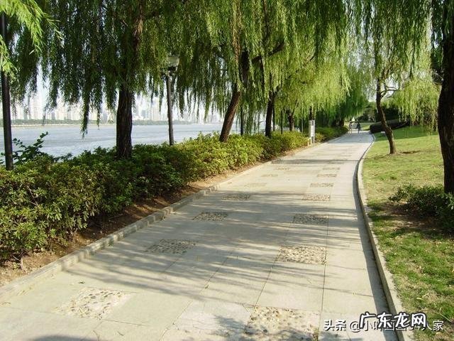 你们都是怎么缓解压力的?