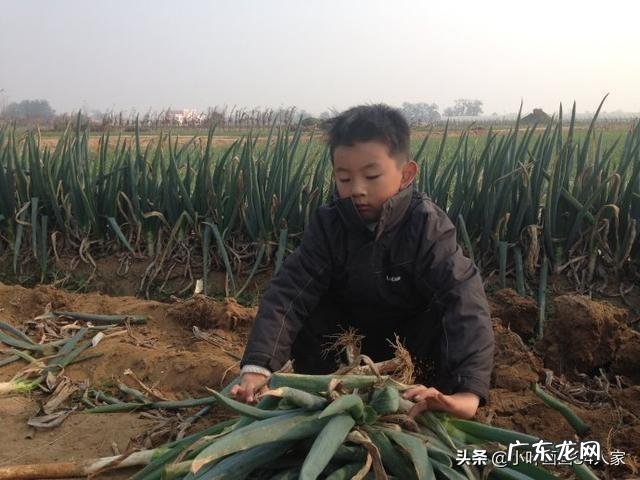 你们都是怎么缓解压力的?