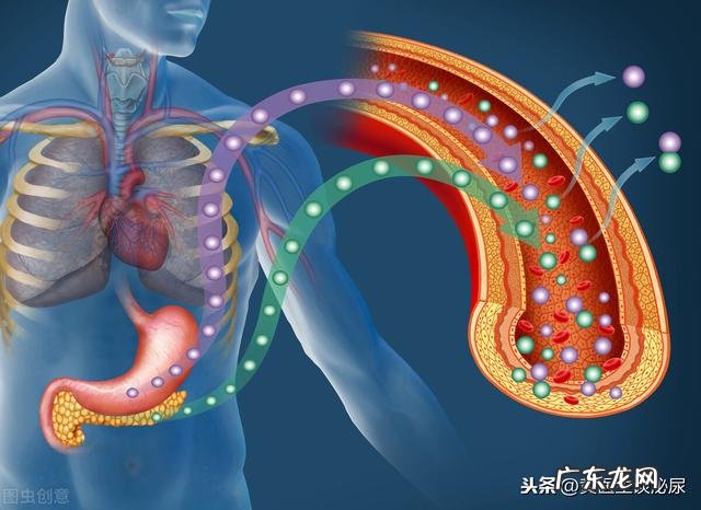 二型糖尿病人有什么办法可以恢复正常吗？