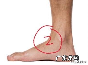 每天一小时快走,会有减肥的效果吗?