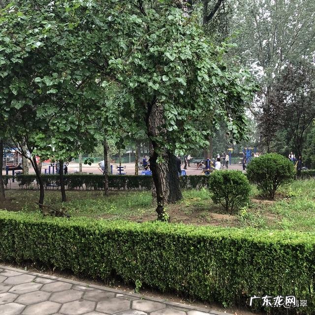 每天一小时快走,会有减肥的效果吗?