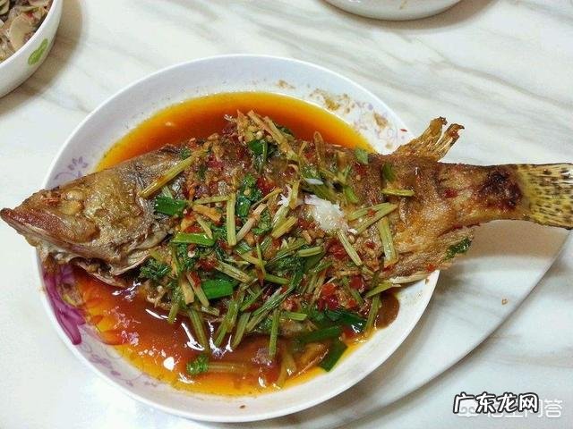 养殖鳜鱼要注意什么，养殖前景如何