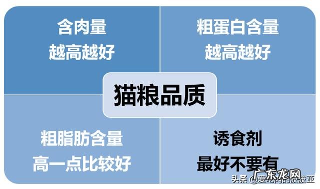 猫咪吃便宜猫粮，能活多久10块1斤