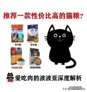 猫咪吃便宜猫粮，能活多久10块1斤
