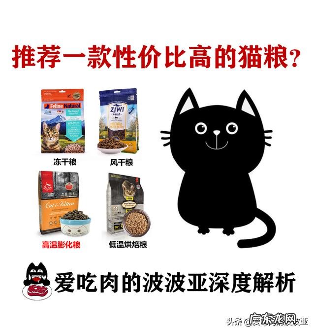 猫咪吃便宜猫粮，能活多久10块1斤