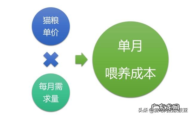 猫咪吃便宜猫粮，能活多久10块1斤