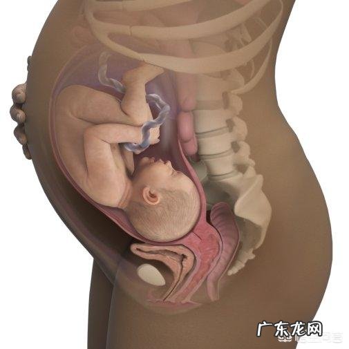 怀孕36周双顶径9.3，胎儿大概有多少斤？