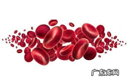 自己很瘦,有轻微的贫血,备孕期间需要注意什么