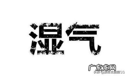 因湿气重导致的肚子大、腿粗，应该怎么解决？