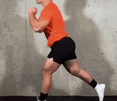 家庭版哑铃腿部力量训练 家里只有哑铃,怎样增加腿部肌肉和力量?