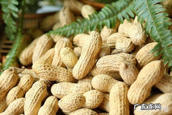 糖尿病人可以吃花生和瓜子吗?