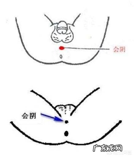 什么健身动作可以锻炼PC肌？