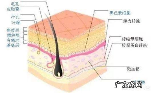 腰部吸脂后会提前松弛吗？