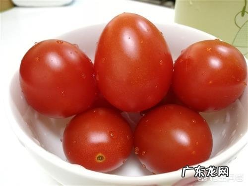 就是西红柿 大番茄和小番茄有区别么?黄瓜呢？(黄瓜和番茄哪个减肥)
