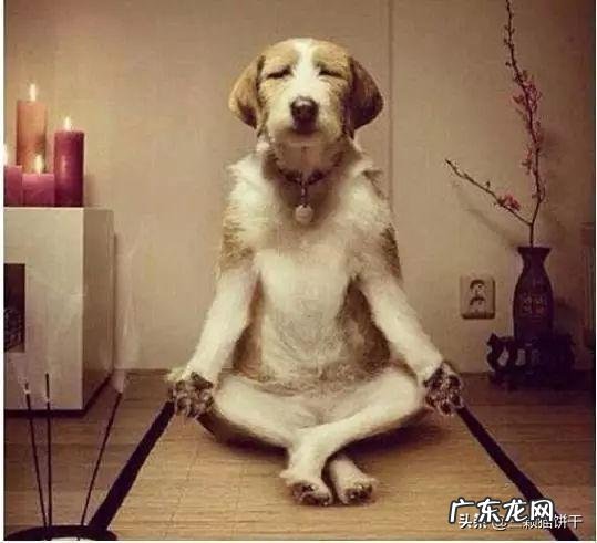 做一个无心仕途的公务员是什么体验?