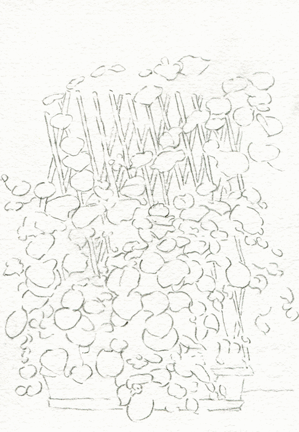 水彩应该如何使用?应该怎么画?