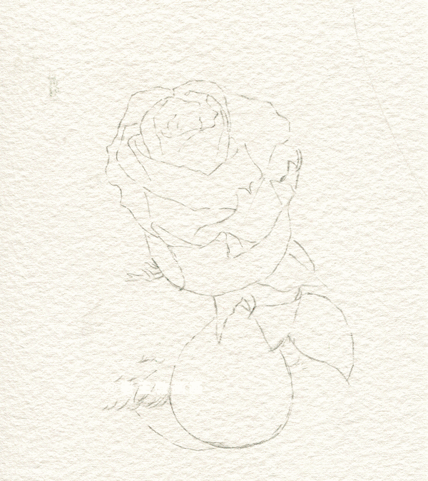 水彩应该如何使用?应该怎么画?