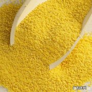 苹果山药小米粥加红枣好吗 苹果加红枣烧小米粥对身体有好处吗？