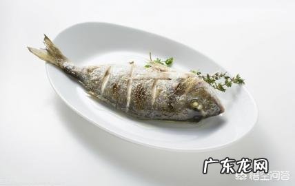 鱼肉、牛肉、鸡肉哪种更适合减肥时吃?