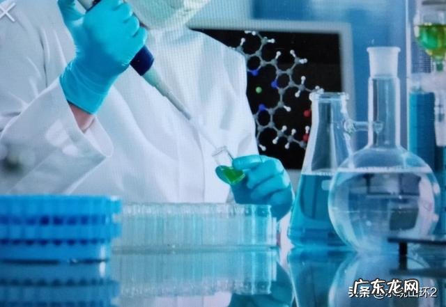 干细胞如何保护血液循环系统