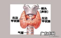 甲亢对生活有什么影响吗？