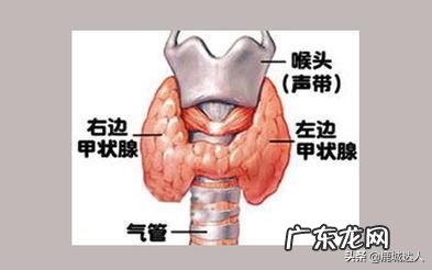 甲亢对生活有什么影响吗？