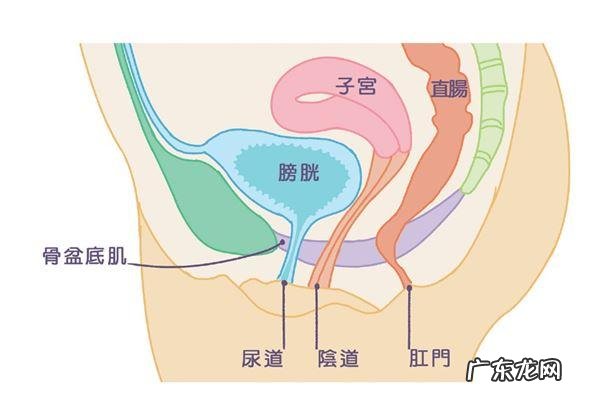 产后多久可以做郑多燕减肥操呢?