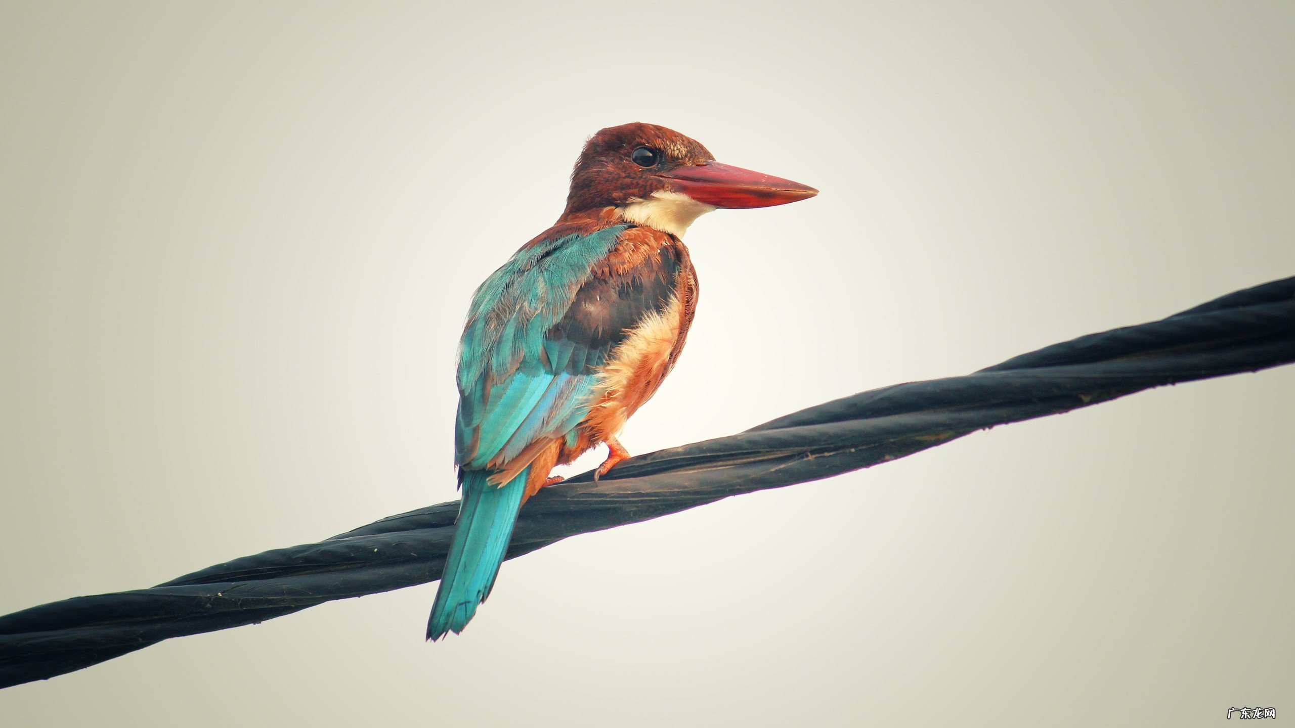 上海浦东大型超市 请问上海闵行区有哪些大型超市?