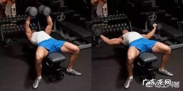 哑铃飞鸟可以天天练吗 每天做一百个哑铃飞鸟,一个月后有什么变化?