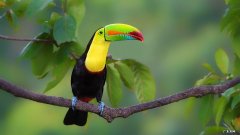 辰美希护肤品质量怎么样？